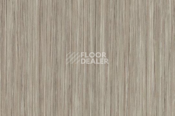 Плитка ПВХ FORBO Allura Click 61253CL5 oyster seagrass фото 1 | FLOORDEALER